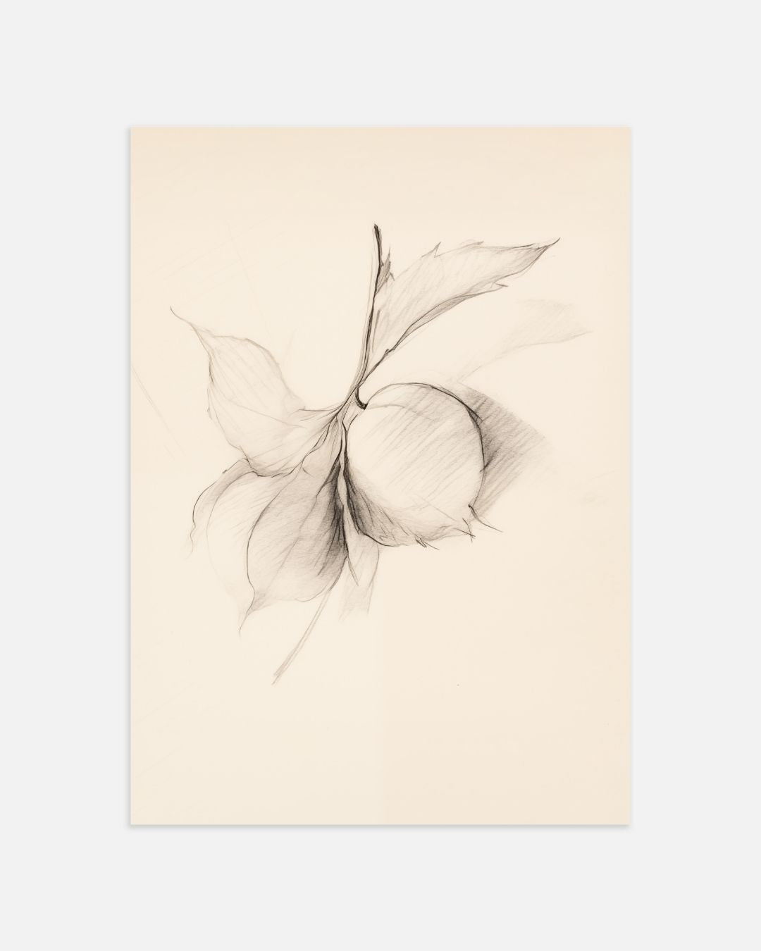 Botanische schetsen Posterset – tweedelige poster set voor modern interieur