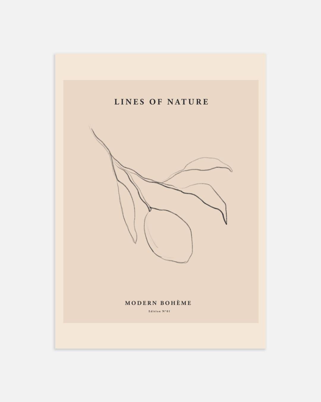 Lines of nature Poster – portret wanddecoratie van WallArtistic