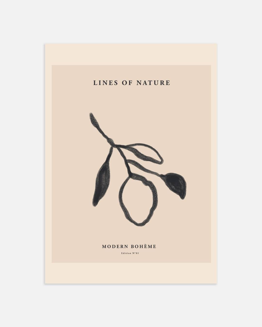 Botanische schets Poster – portret wanddecoratie van WallArtistic