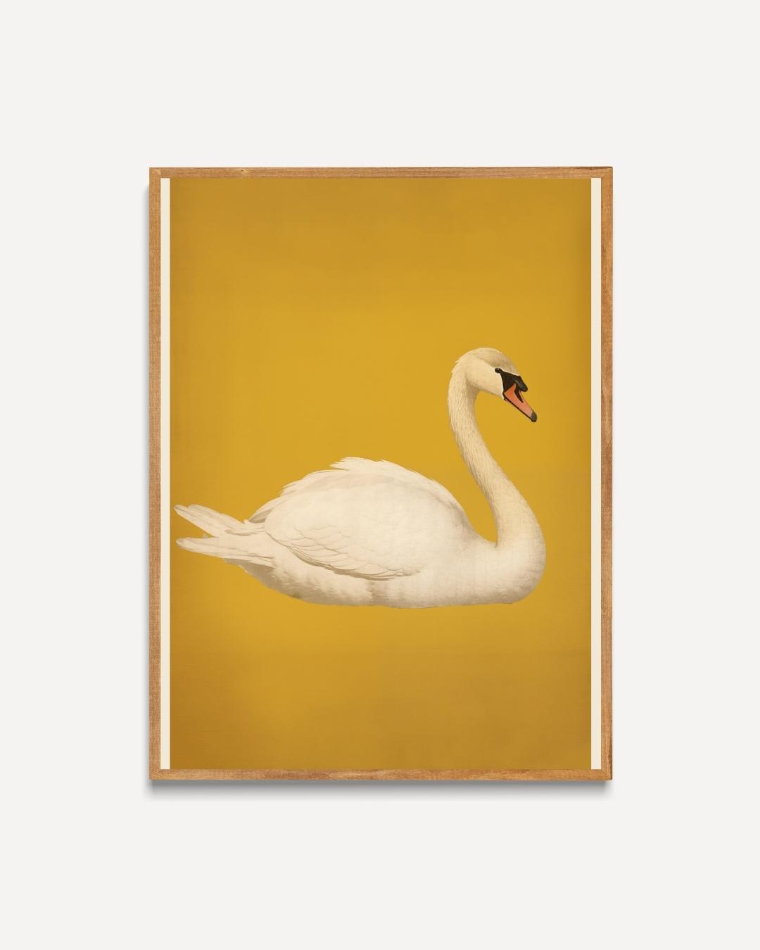 Elegante zwaan Poster – portret poster als wanddecoratie