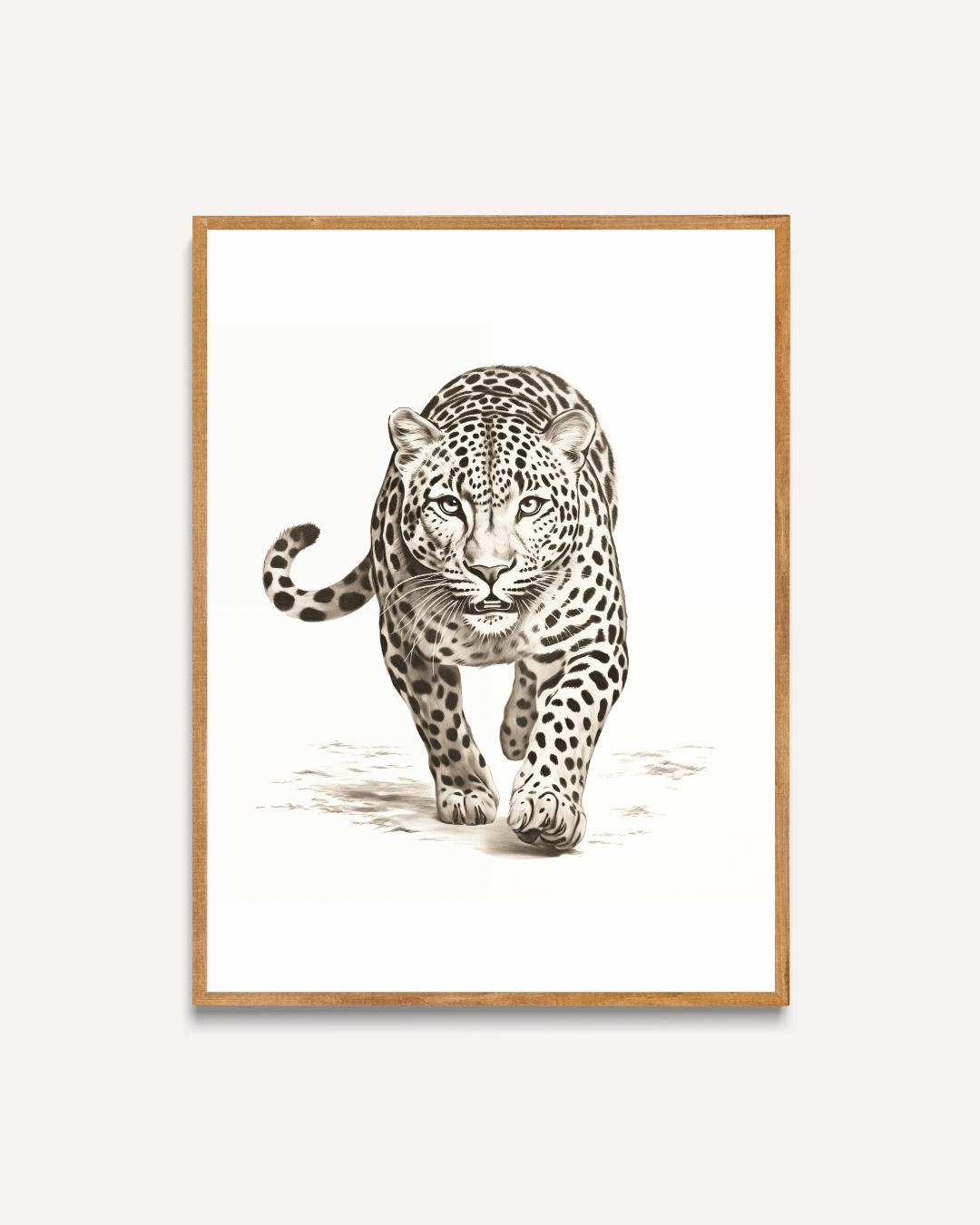 Luipaard in Zwart-Wit Poster – portret poster als wanddecoratie