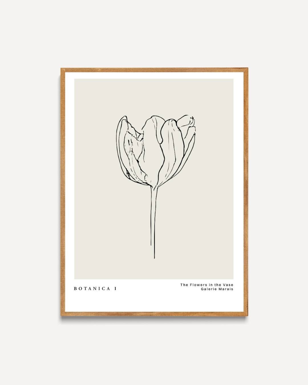 Tulp lijntekening Poster – portret poster als wanddecoratie