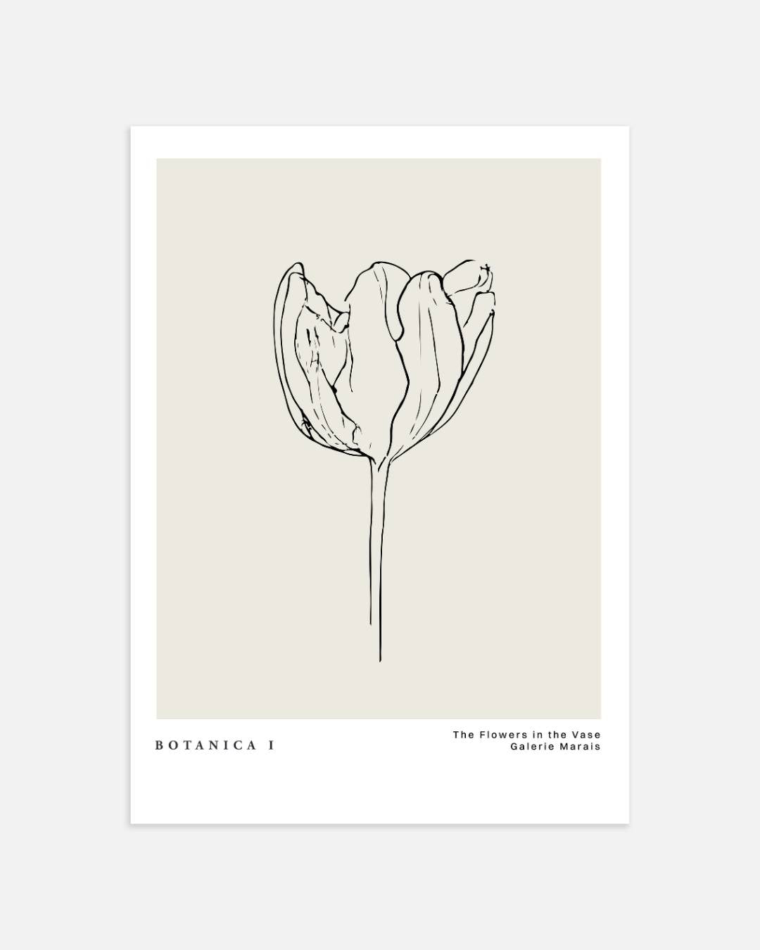 Tulp lijntekening Poster – portret wanddecoratie van WallArtistic