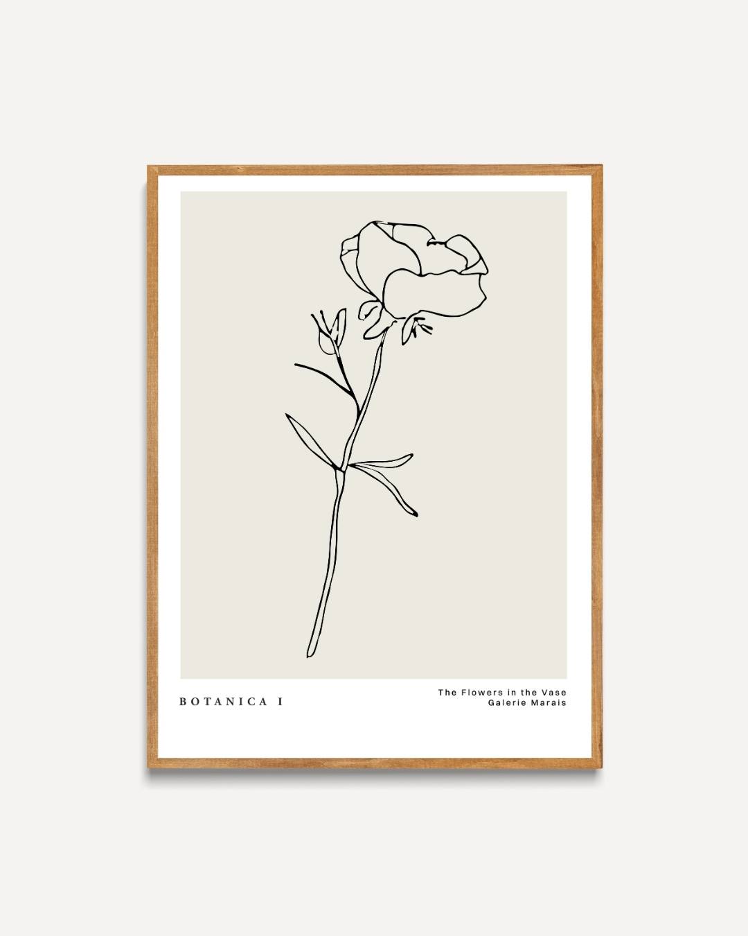 Minimalistische roos Poster – portret poster als wanddecoratie