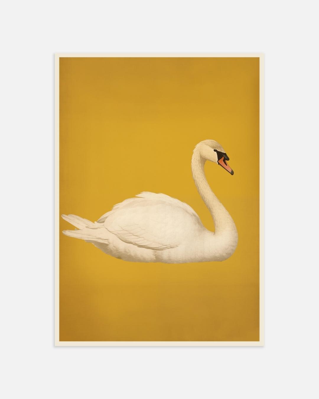 Elegante zwaan Poster – portret wanddecoratie van WallArtistic