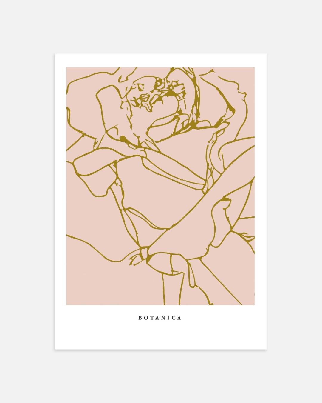 Botanische lijntekening Poster – portret wanddecoratie van WallArtistic