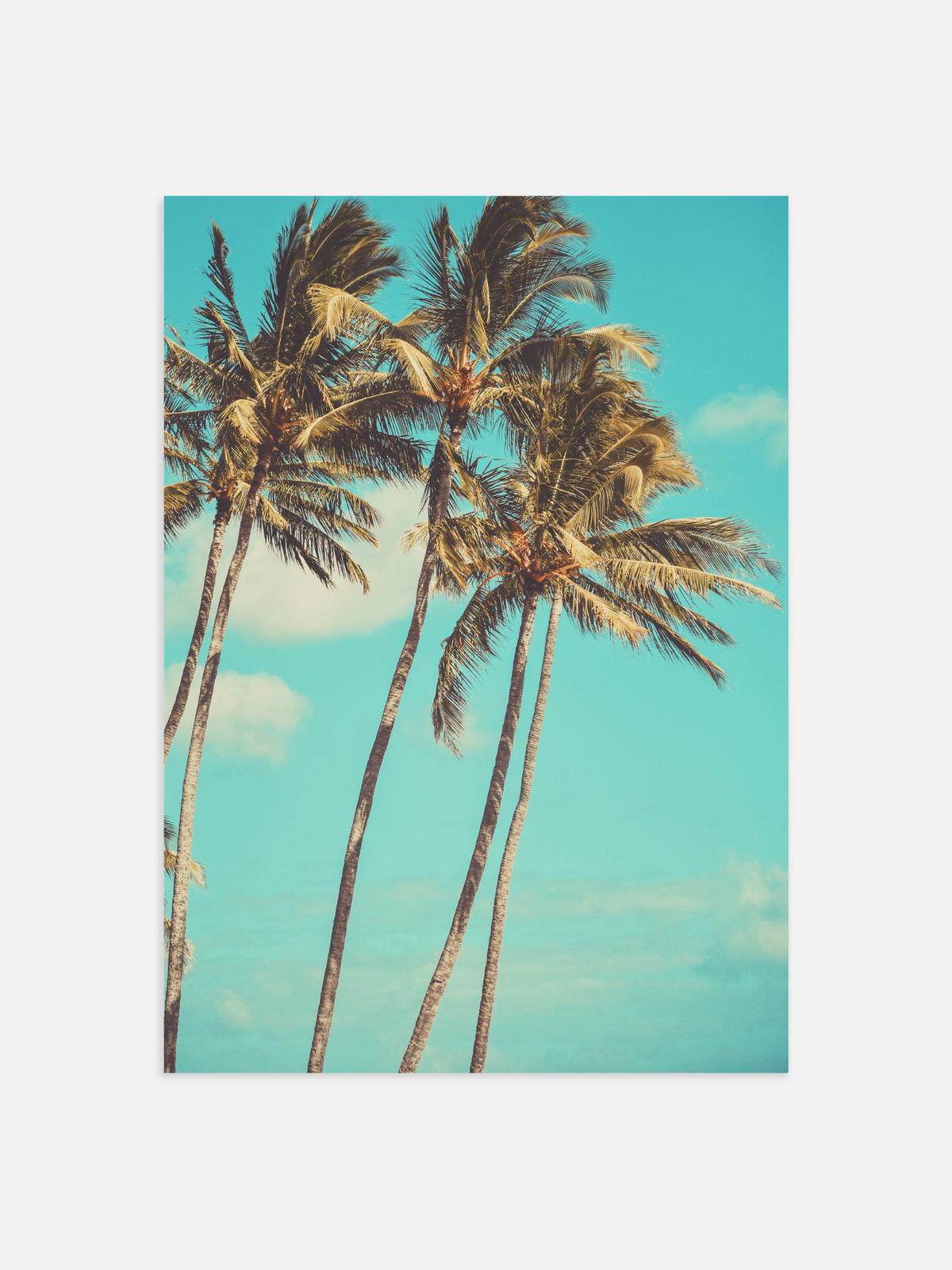 Palm tree Poster – portret poster als wanddecoratie