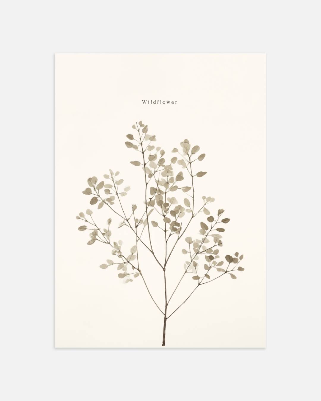 Wildflower botanische illustratie Poster – portret wanddecoratie van WallArtistic