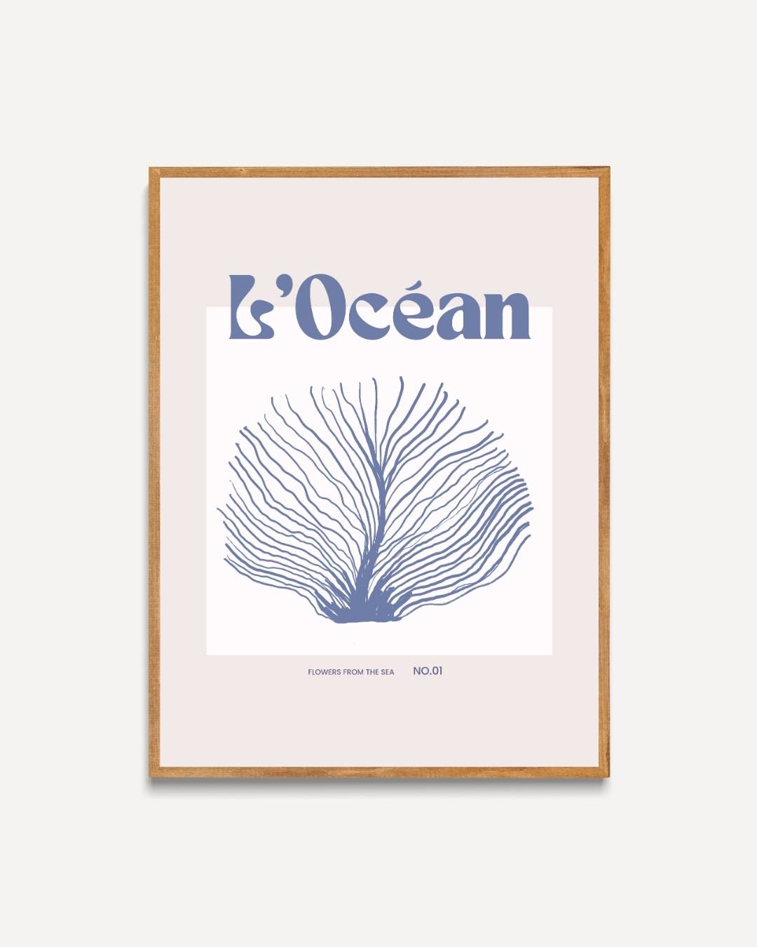 L'océan koraal Poster – portret poster als wanddecoratie