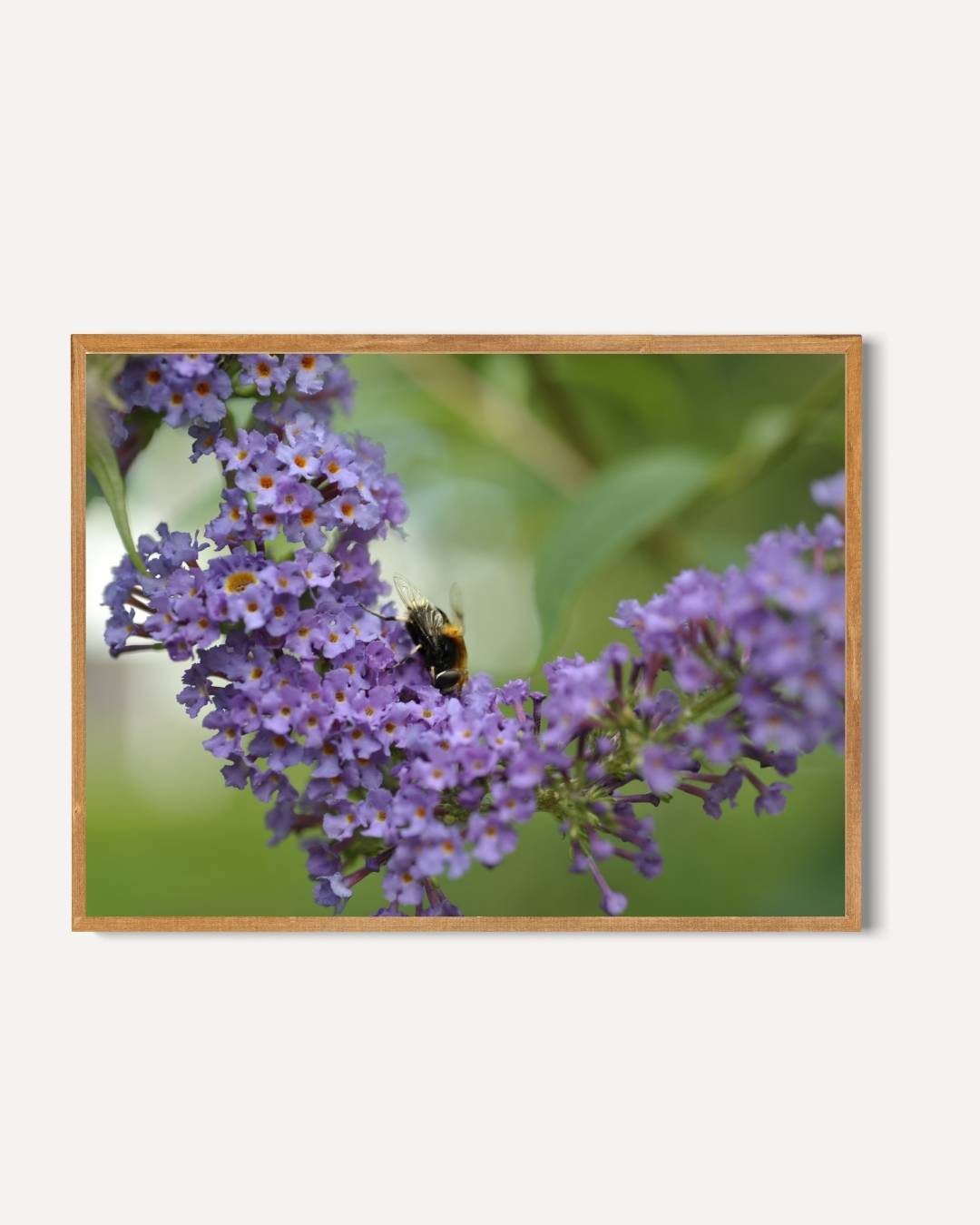 Paarse bloemen en bij Poster – portret poster als wanddecoratie