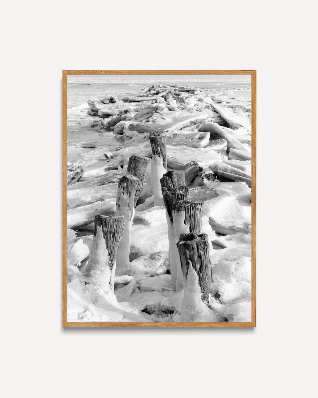 Bevroren landschap met houten palen Poster – portret poster als wanddecoratie