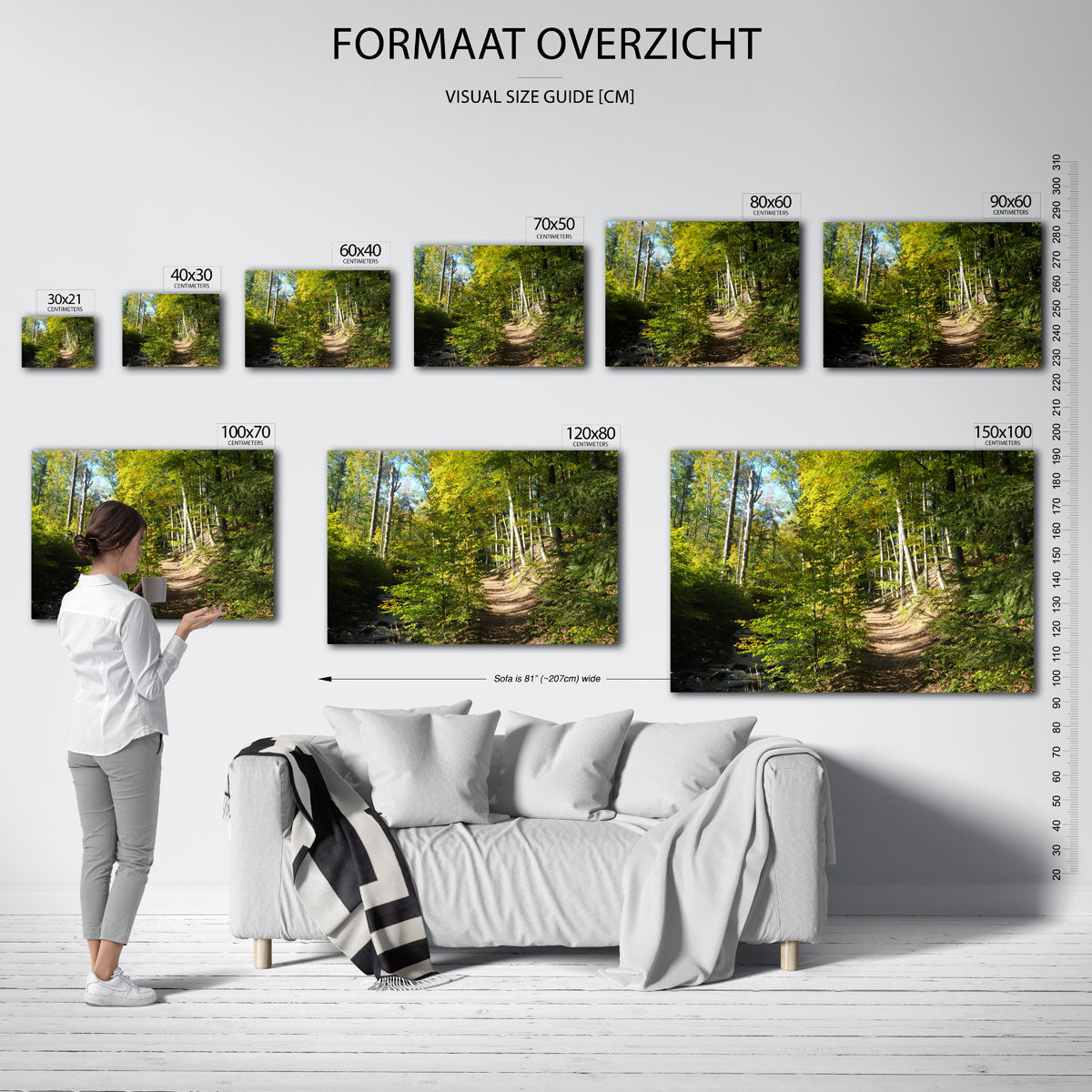 Boswandeling pad poster – sfeerbeeld – een zonnig pad omringd door hoge bomen en groene bladeren. Het licht speelt door de