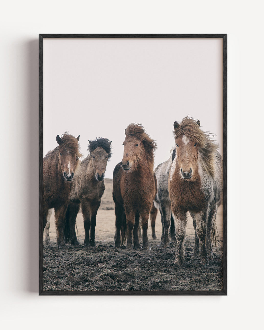 Groep paarden poster – portret wanddecoratie – een groep paarden staat dicht bij elkaar op een modderige ondergrond. Hun