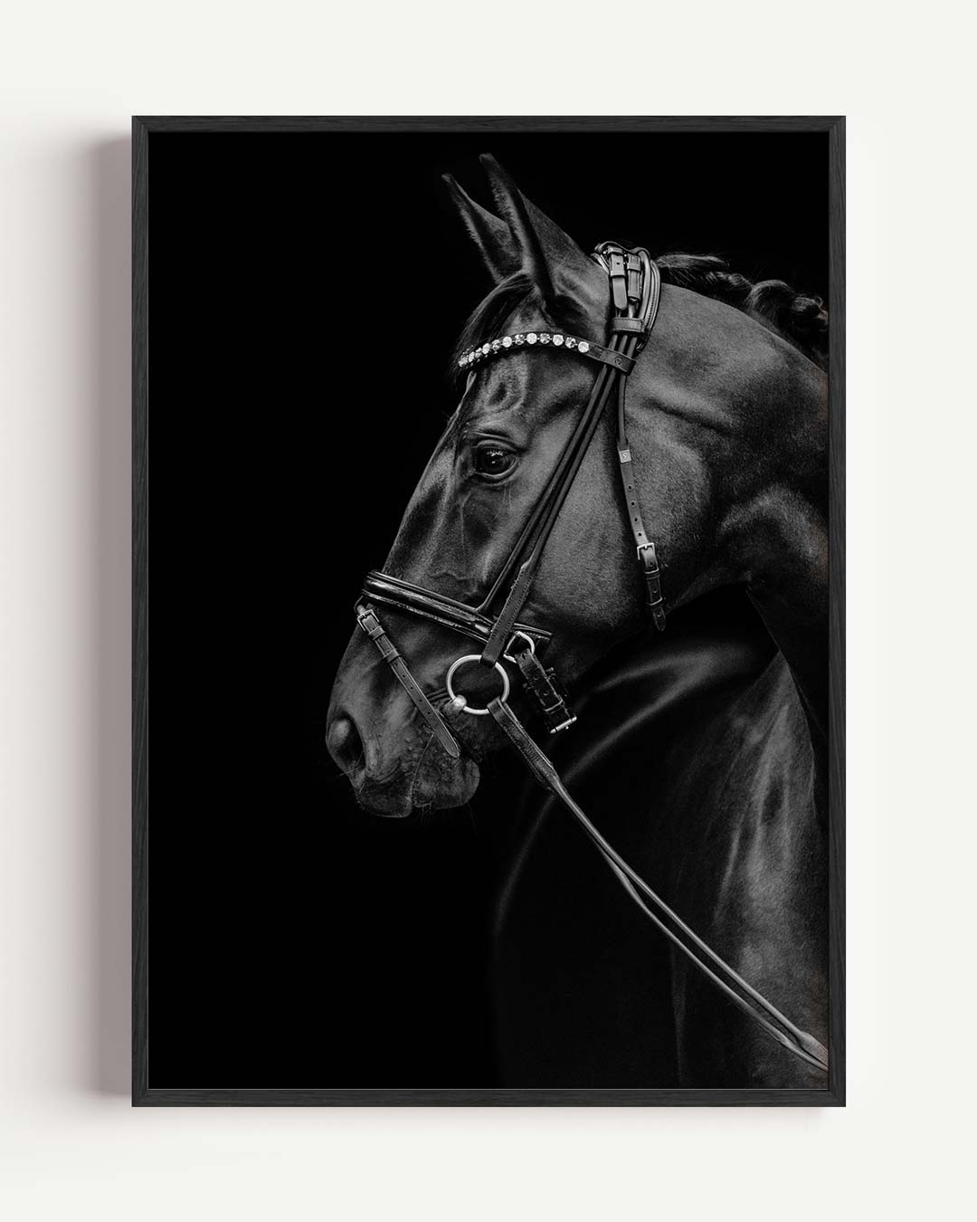 Zwart Paard – Popart en Streetart portret poster als wanddecoratie