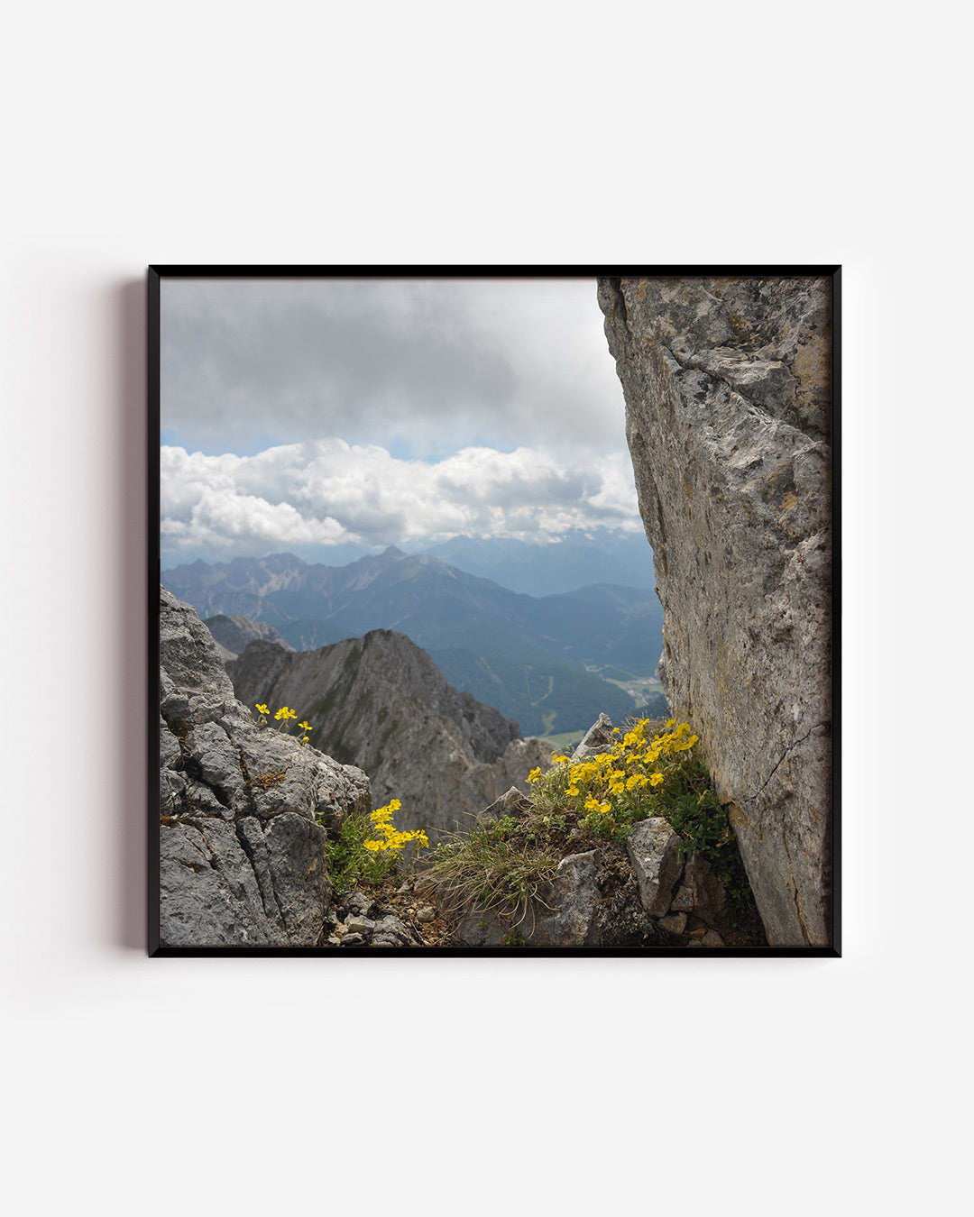 Berglandschap met bloemen poster – vierkante wanddecoratie – deze poster toont een indrukwekkend berglandschap met ruige