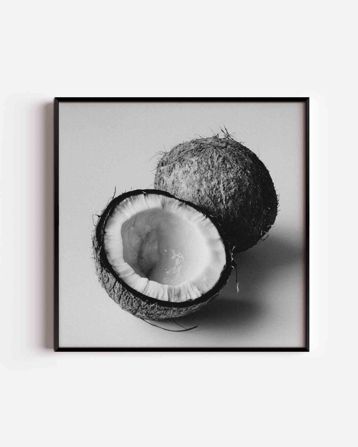 Kokosnoot zwart wit – jungle vierkante poster als wanddecoratie