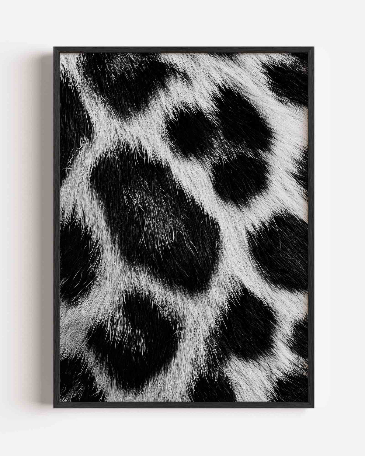 Zwart witte vacht – safari portret poster als wanddecoratie