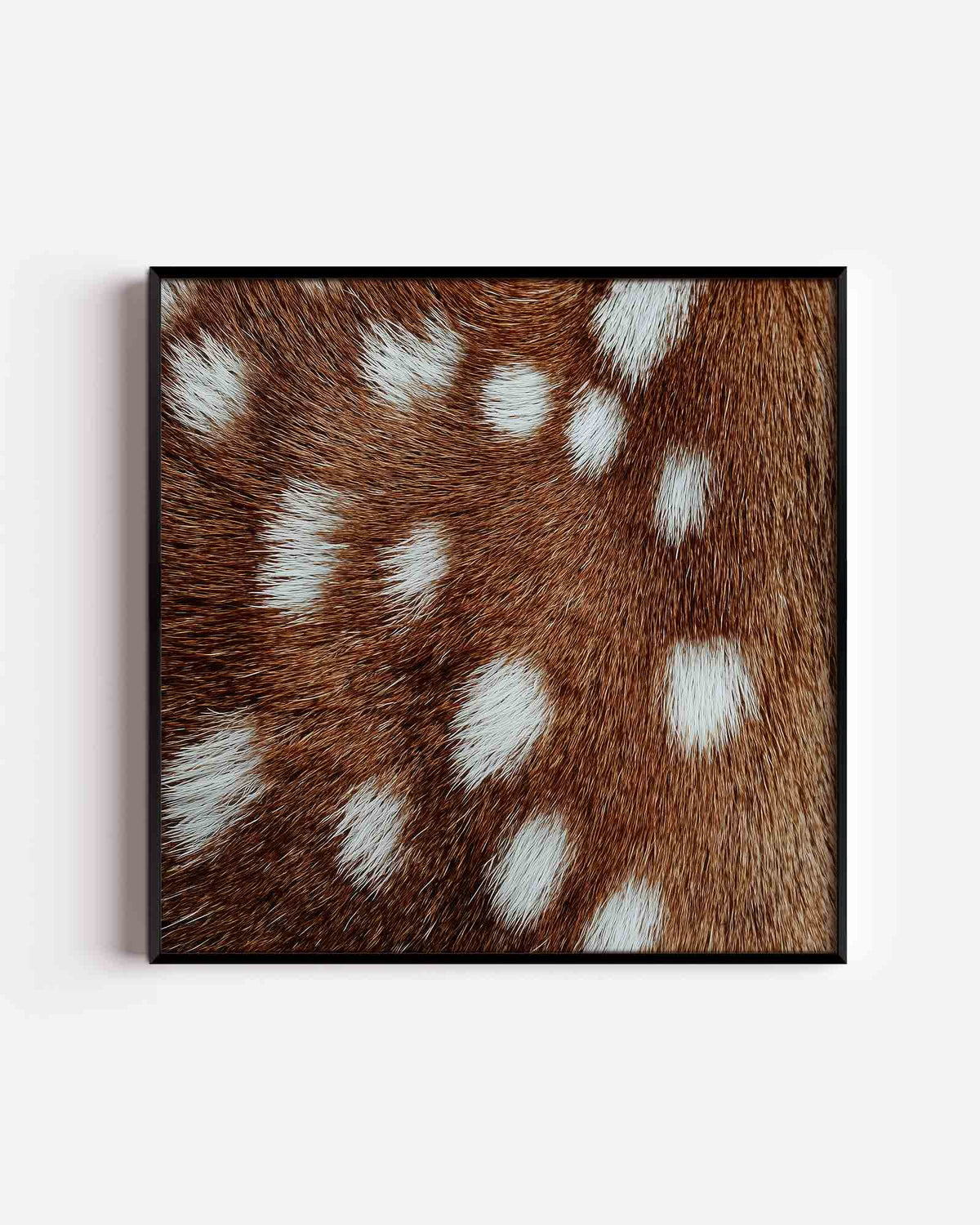Vacht met witte vlekken – jungle vierkante poster als wanddecoratie