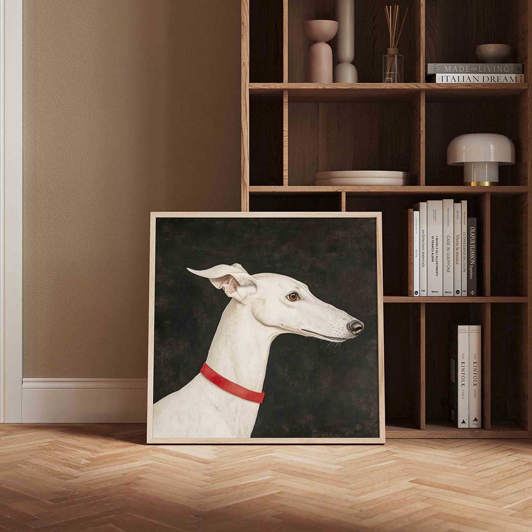 Witte windhond – moderne poster in vierkant formaat