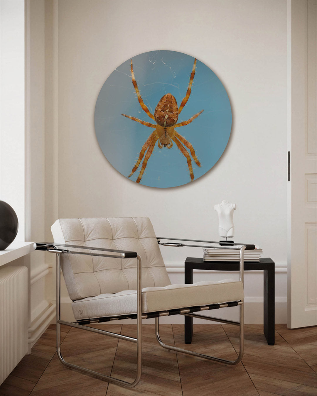 Spin op web – fotografie muurcirkel als ronde wanddecoratie