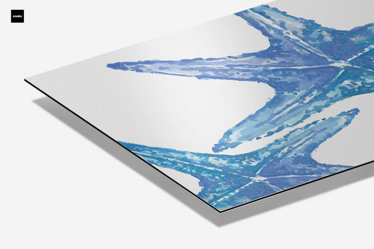Blauwe zeester close-up – canvas kunstwerk als wanddecoratie
