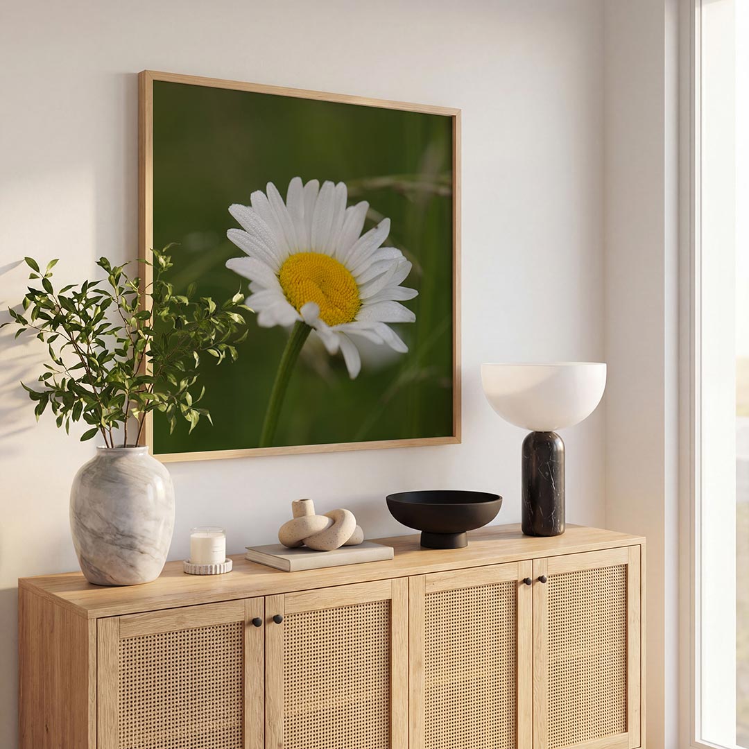Bloem close up poster – tweede productweergave – deze poster toont een close-up van een witte bloem met een gele kern tegen