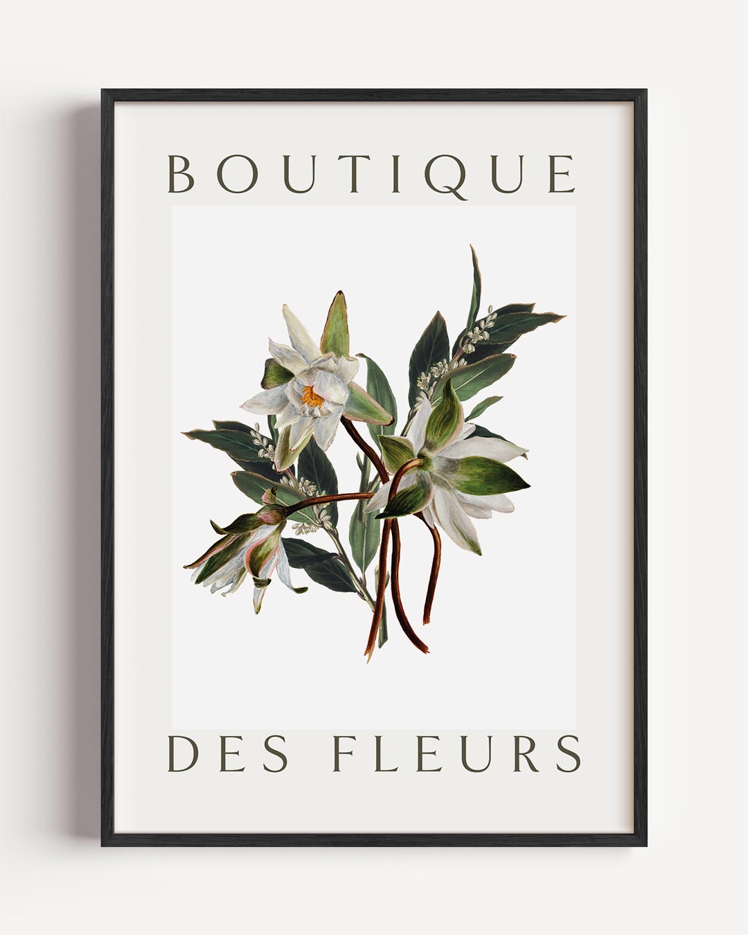 Bloemenpracht Wall Art – botanische portret poster als wanddecoratie