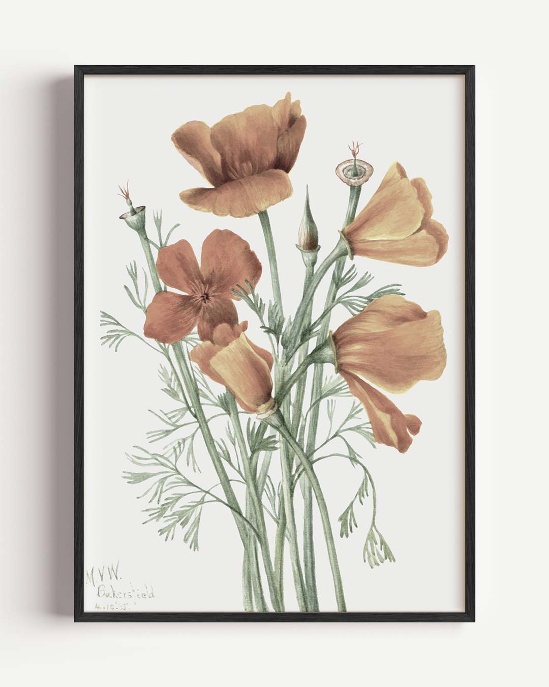Bloemige Veldschoonheid – vintage portret poster als wanddecoratie
