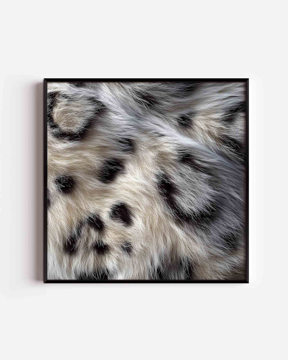 Harige vacht textuur – jungle vierkante poster als wanddecoratie