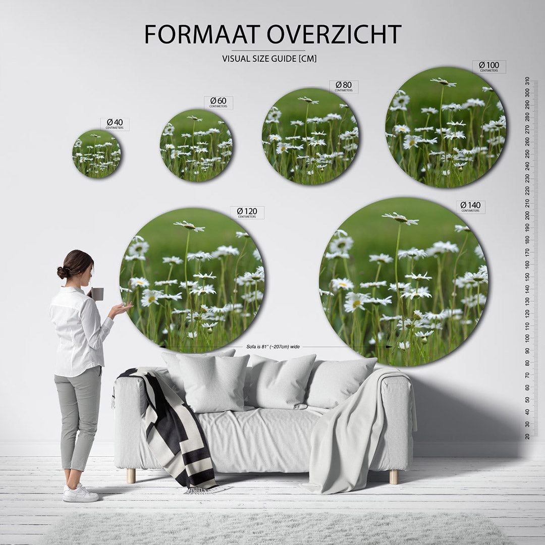 Witte margrieten – ronde wanddecoratie met fotografie