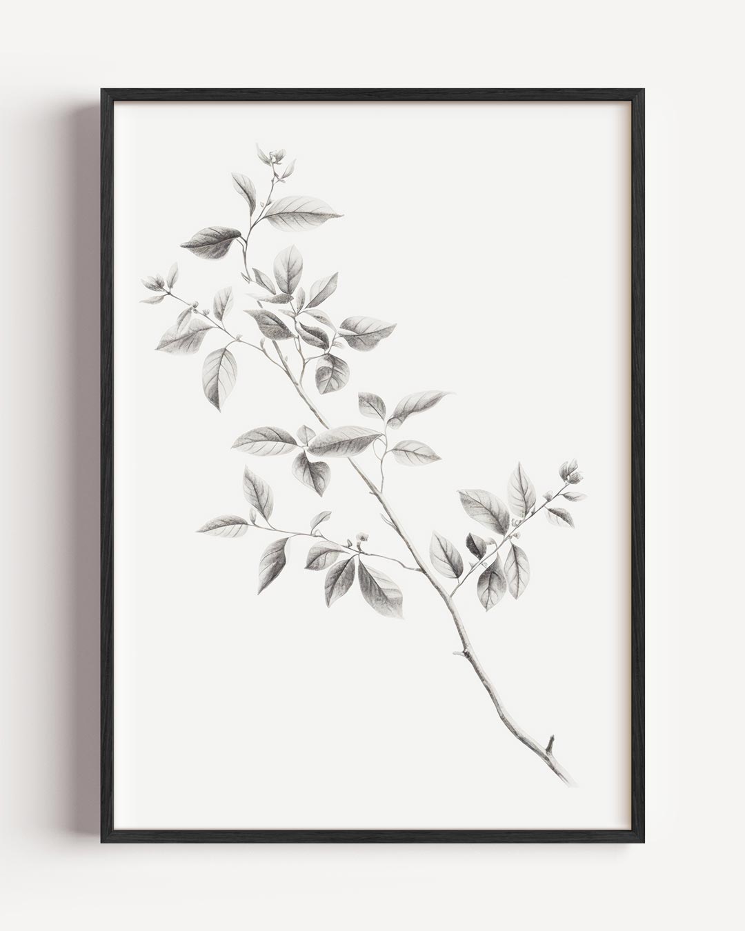 Botanische Elegantie Wandkunst – vintage portret poster als wanddecoratie