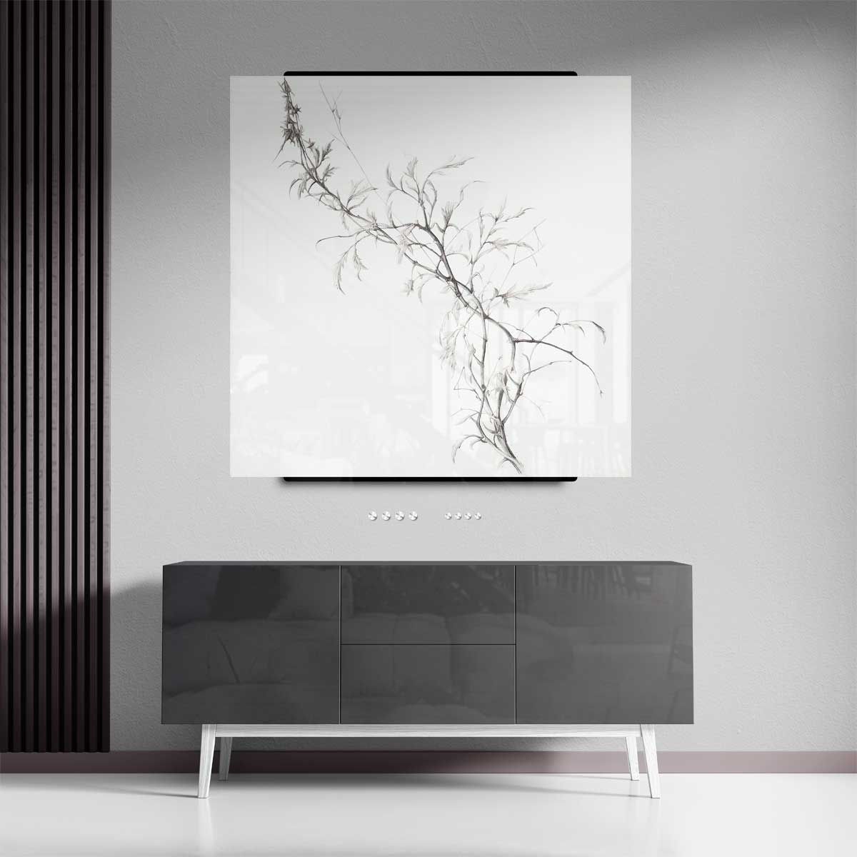 Delicate Dans van Takken – plexiglas kunstwerk als wanddecoratie