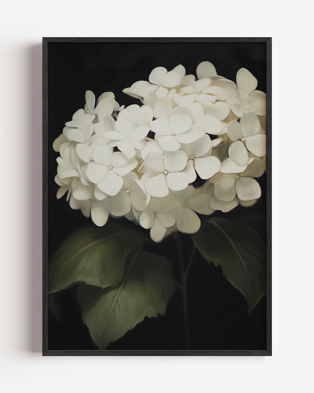 Witte Hortensia – vintage portret poster als wanddecoratie