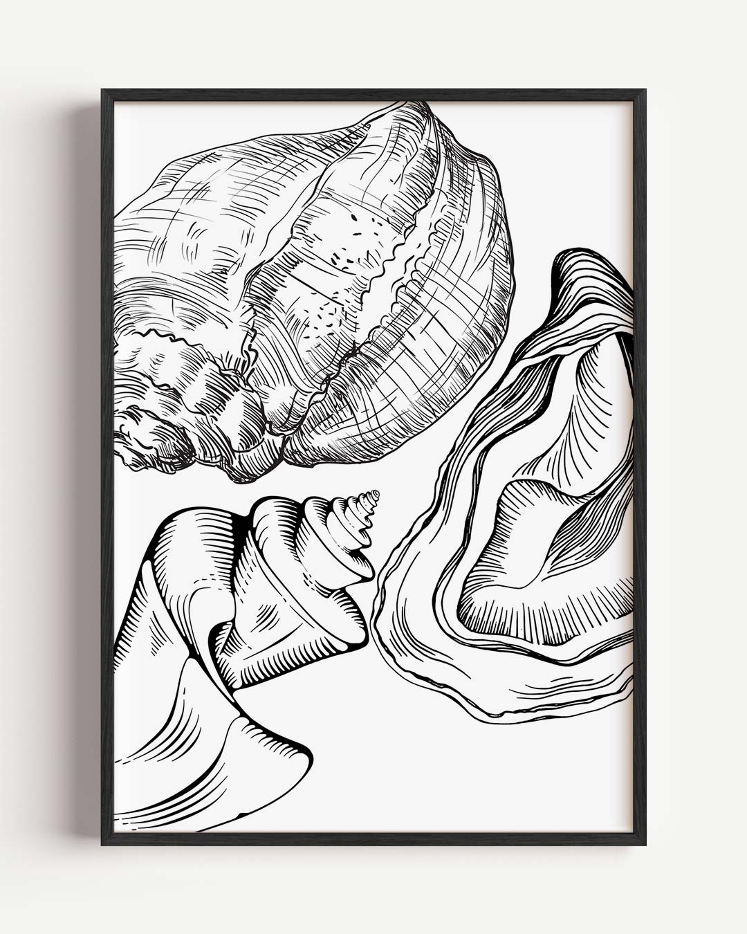 Elegante Schelpentekening – zeedieren portret poster als wanddecoratie