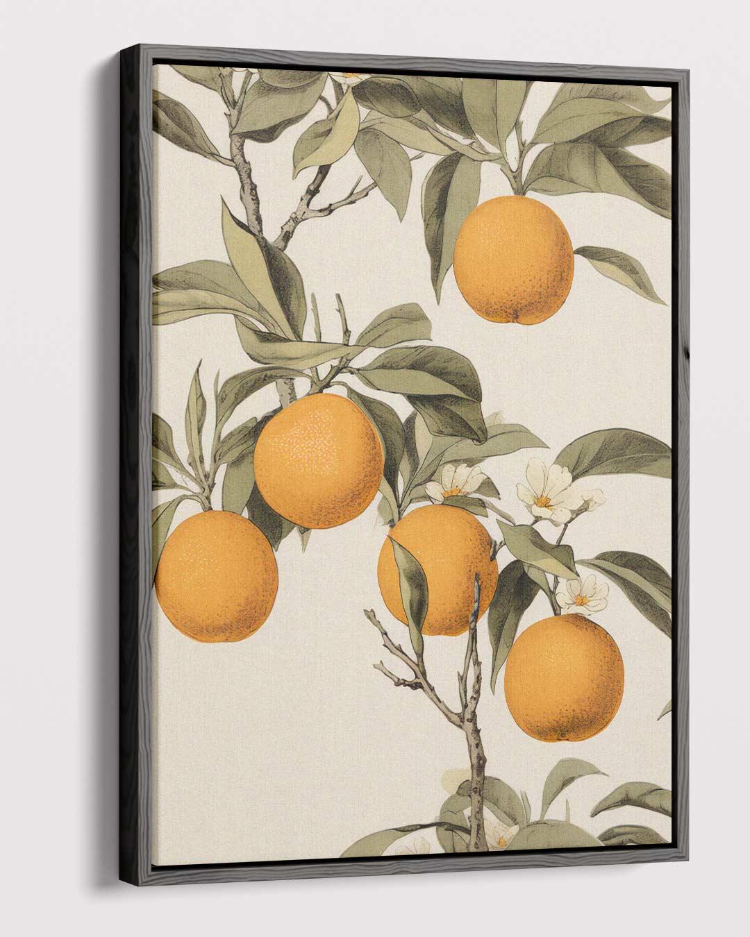 Zonnige Sinaasappelboom Illustratie – dibond kunstwerk als wanddecoratie