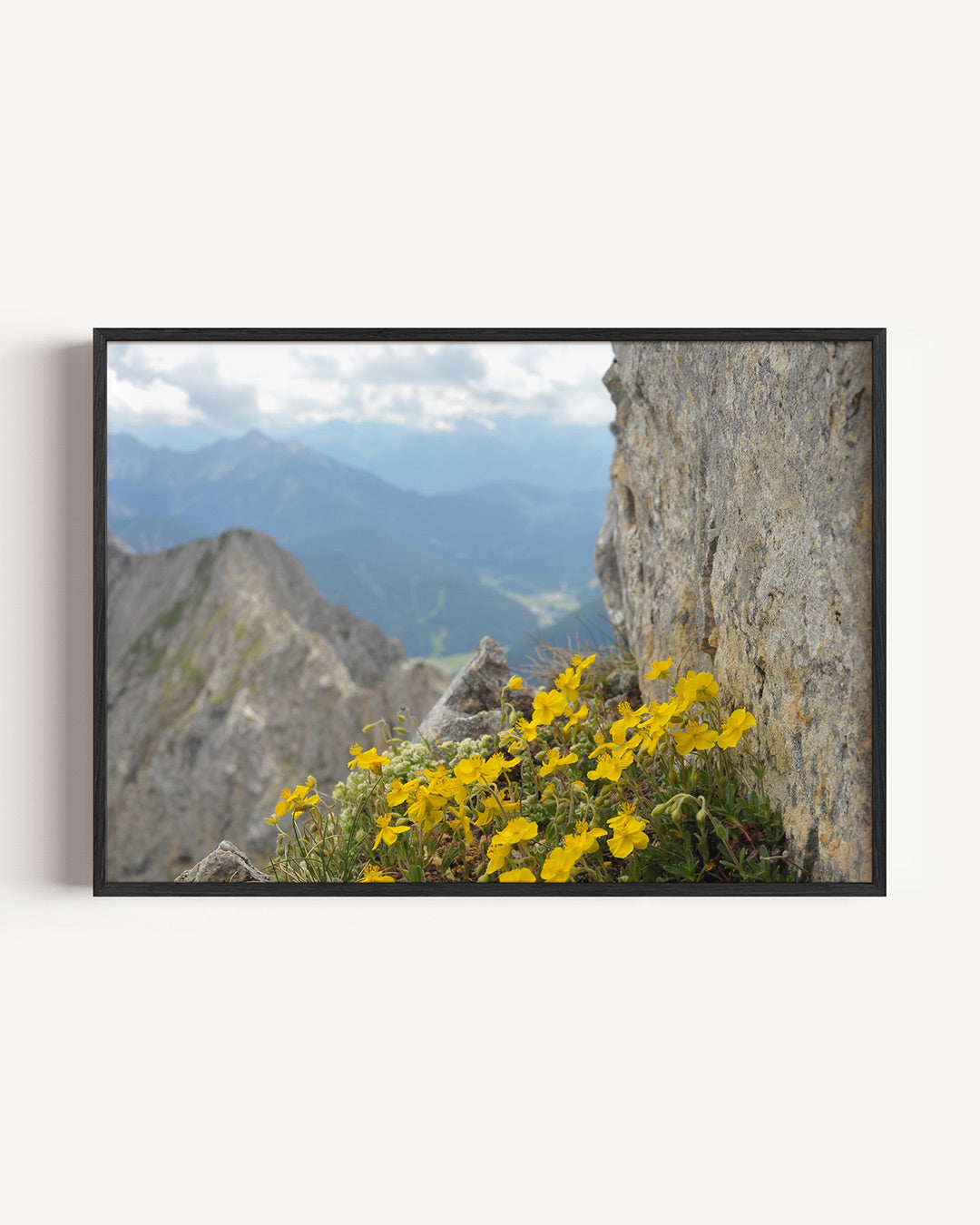 Bergbloemen en rotsen poster – liggende wanddecoratie – deze poster toont levendige gele bloemen die groeien tussen ruige