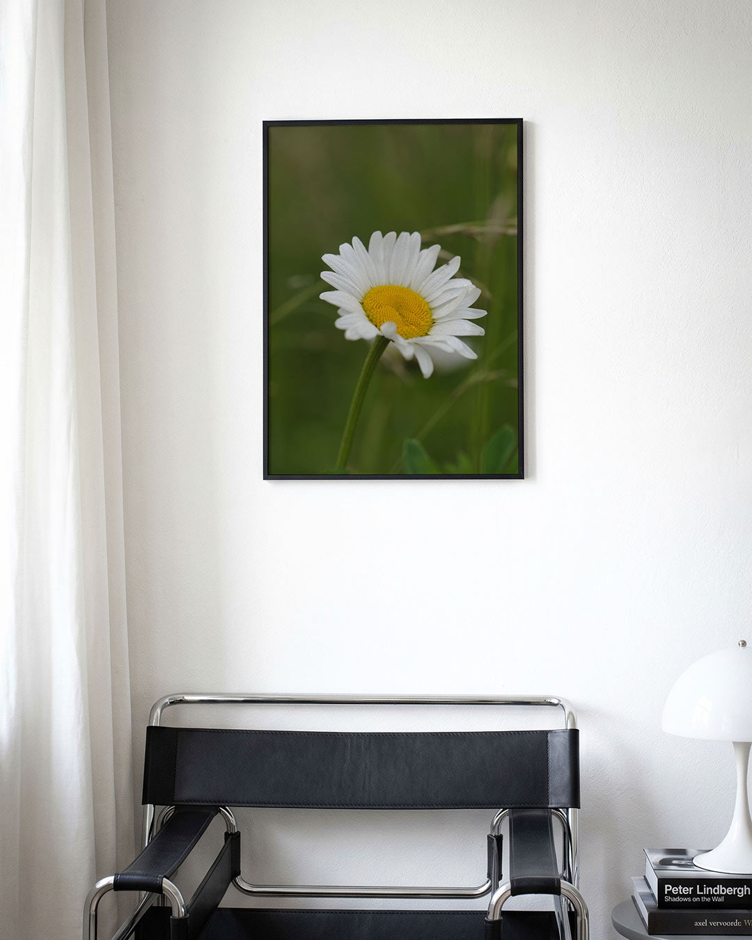 Bloem in natuur poster – derde productweergave – een enkele bloem met witte bloemblaadjes en een geel hart, omgeven door een