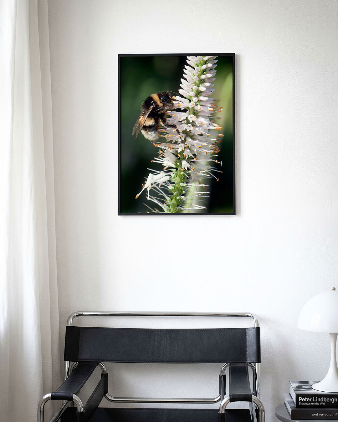 Bij op bloem poster – derde productweergave – een bij zit op een witte bloem met oranje meeldraden tegen een groene