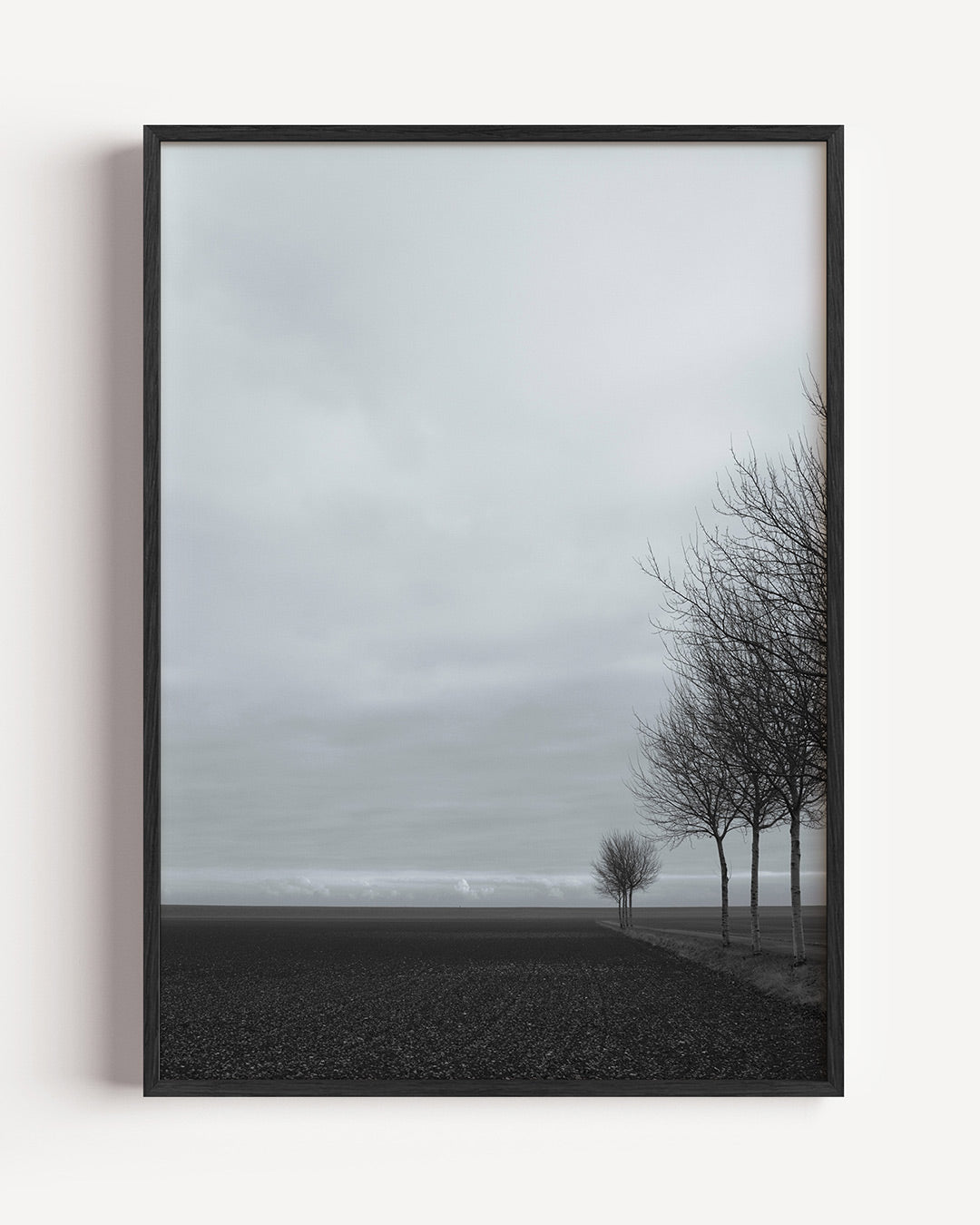 Landschap met bomen poster – portret wanddecoratie – een sereen landschap met kale bomen langs een veld. De lucht is bewolkt