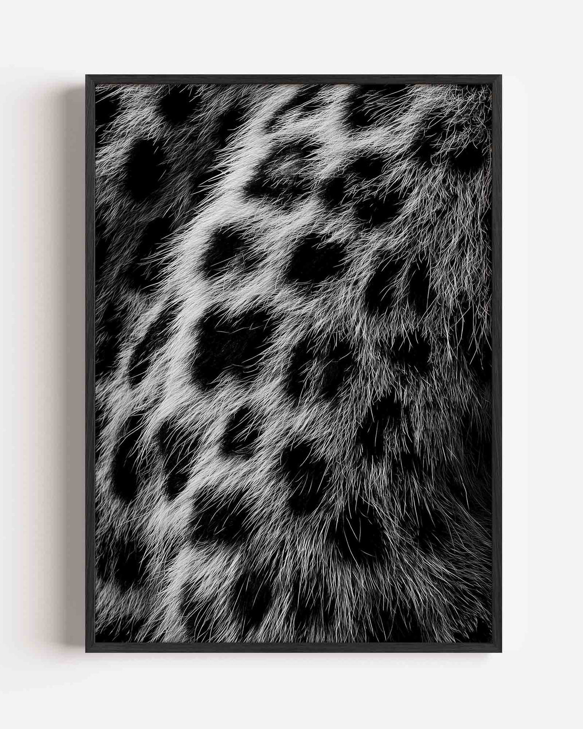 Gevlekte vacht – safari portret poster als wanddecoratie