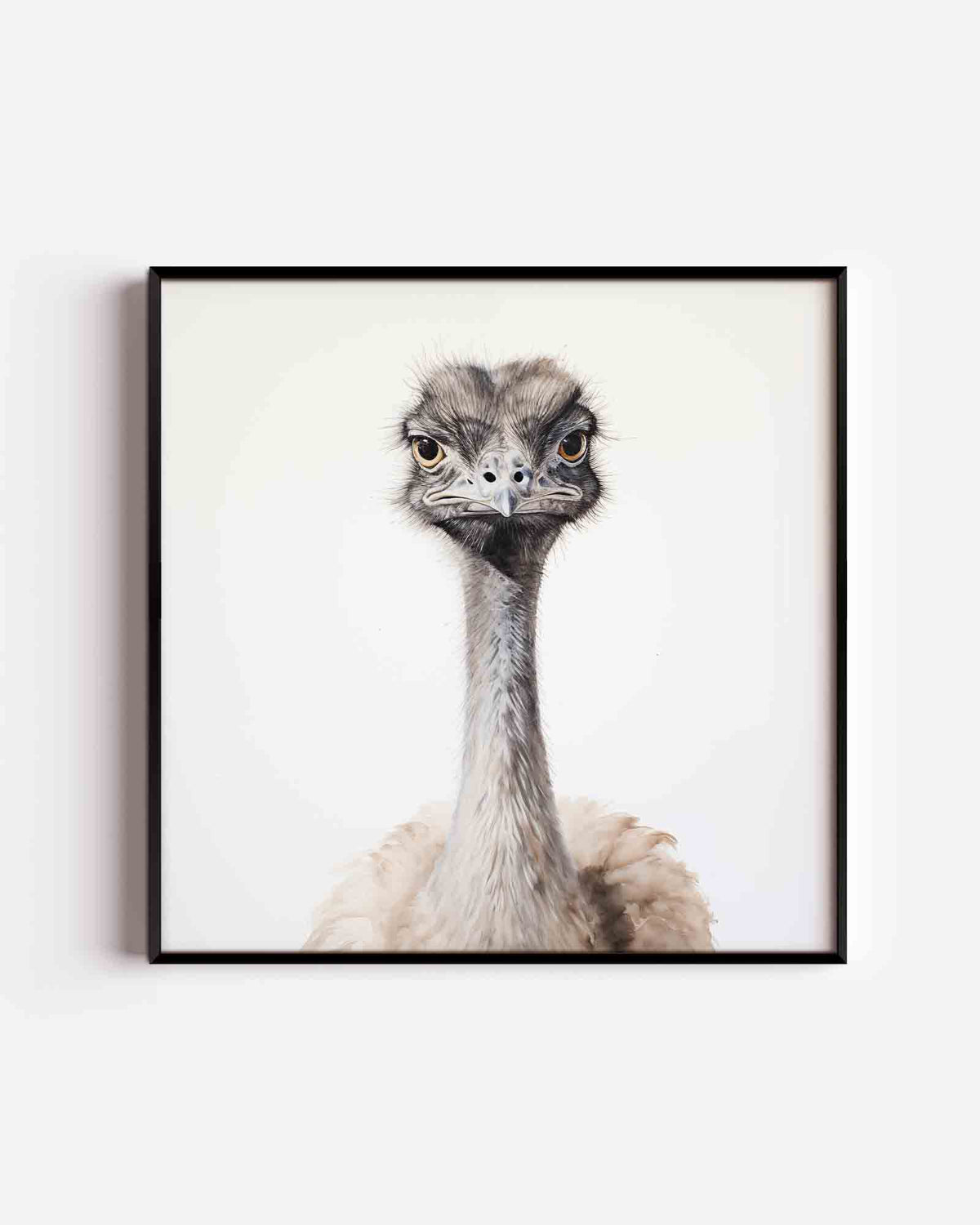 Struisvogel portret – jungle vierkante poster als wanddecoratie