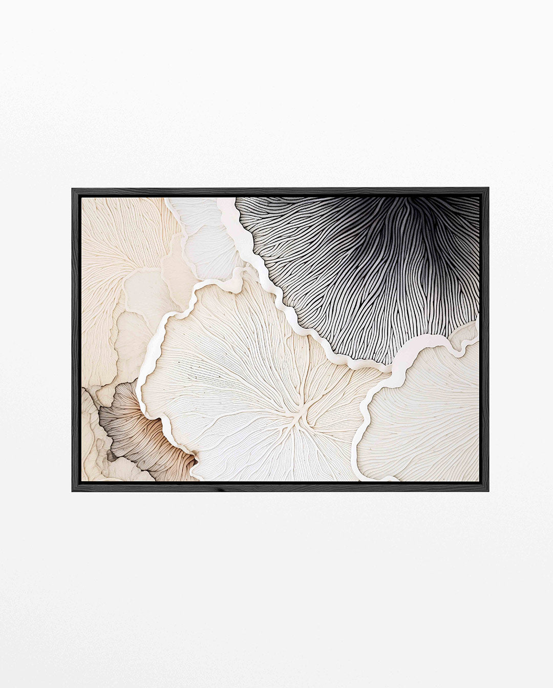 Organische lijnen – Zwart-wit – liggend abstract kunstwerk