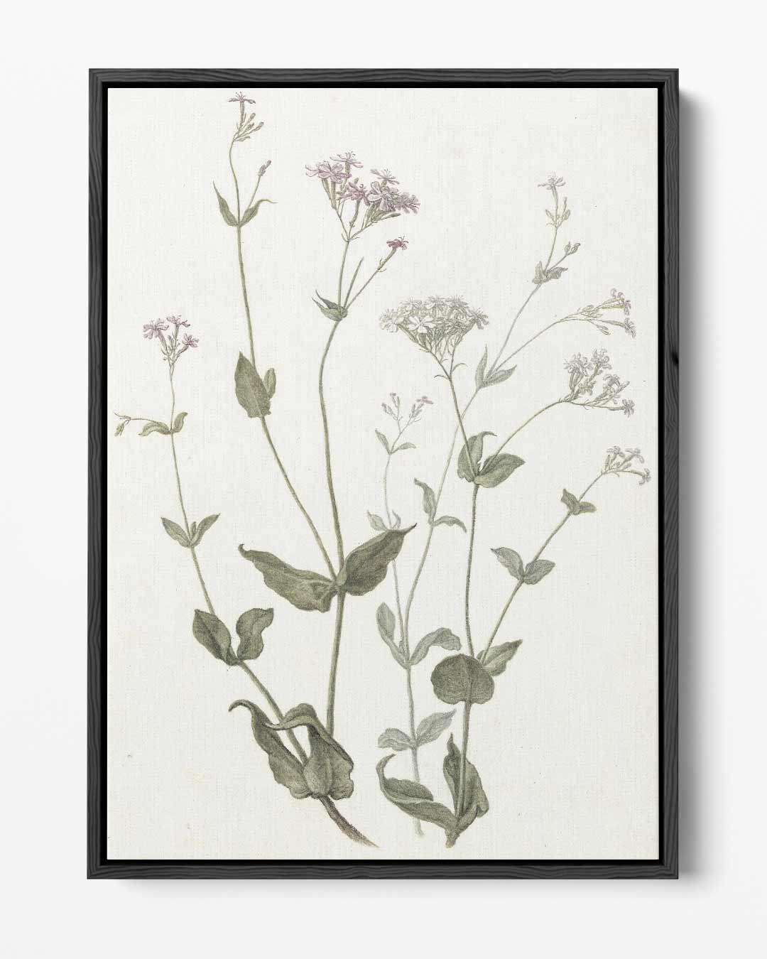 Botanische Bloemenillustratie – portret kunstwerk als wanddecoratie