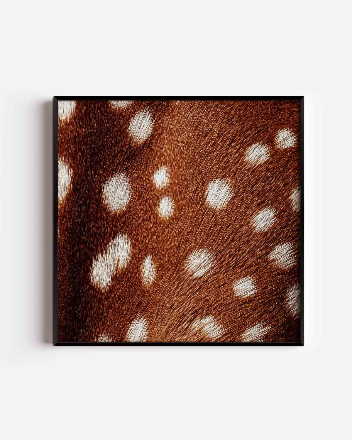 Bruine vacht met witte stippen – jungle vierkante poster als wanddecoratie