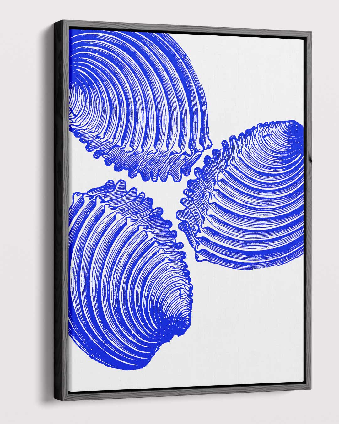 Blauwe Schelp Trio Kunstwerk – canvas kunstwerk als wanddecoratie