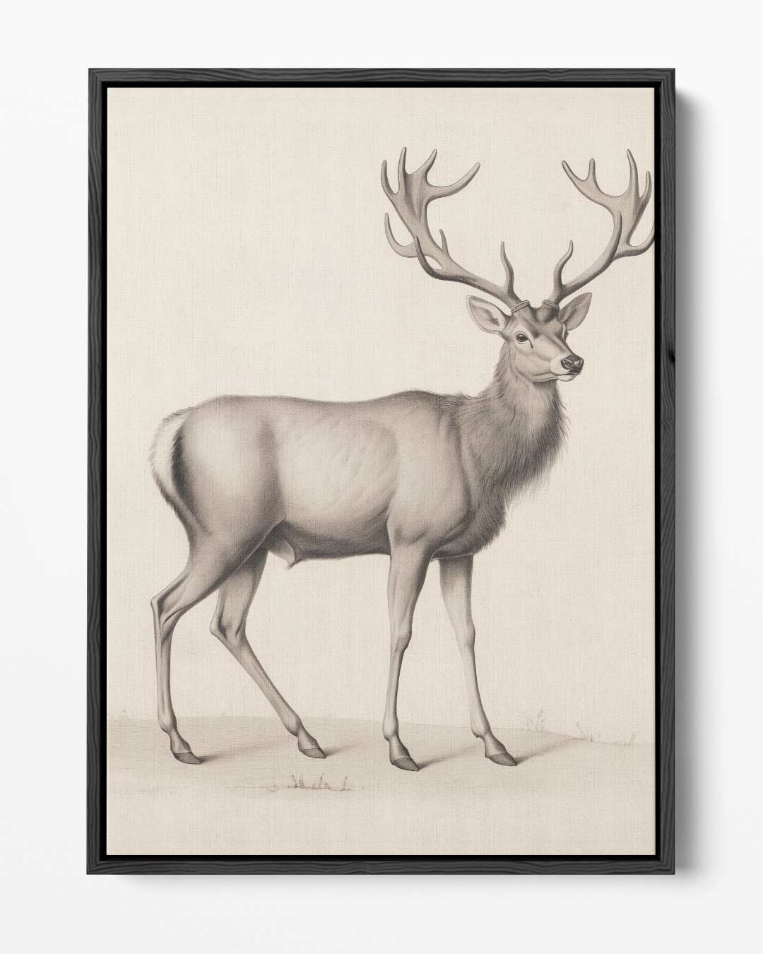 Elegante Hertenschets – portret kunstwerk als wanddecoratie