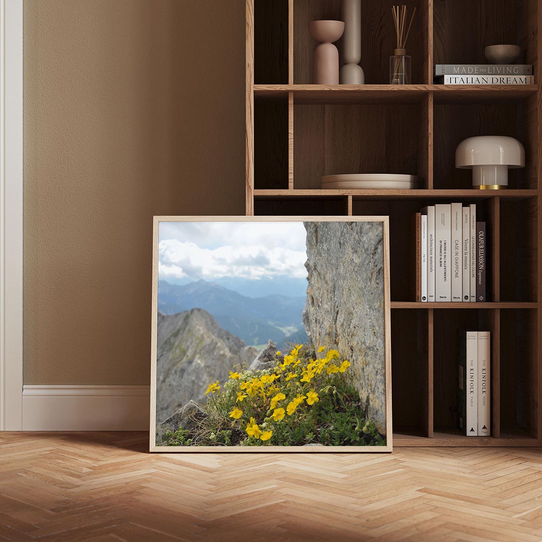 Bergbloemen en rotsen poster – derde productweergave – deze poster toont levendige gele bloemen die groeien tussen ruwe