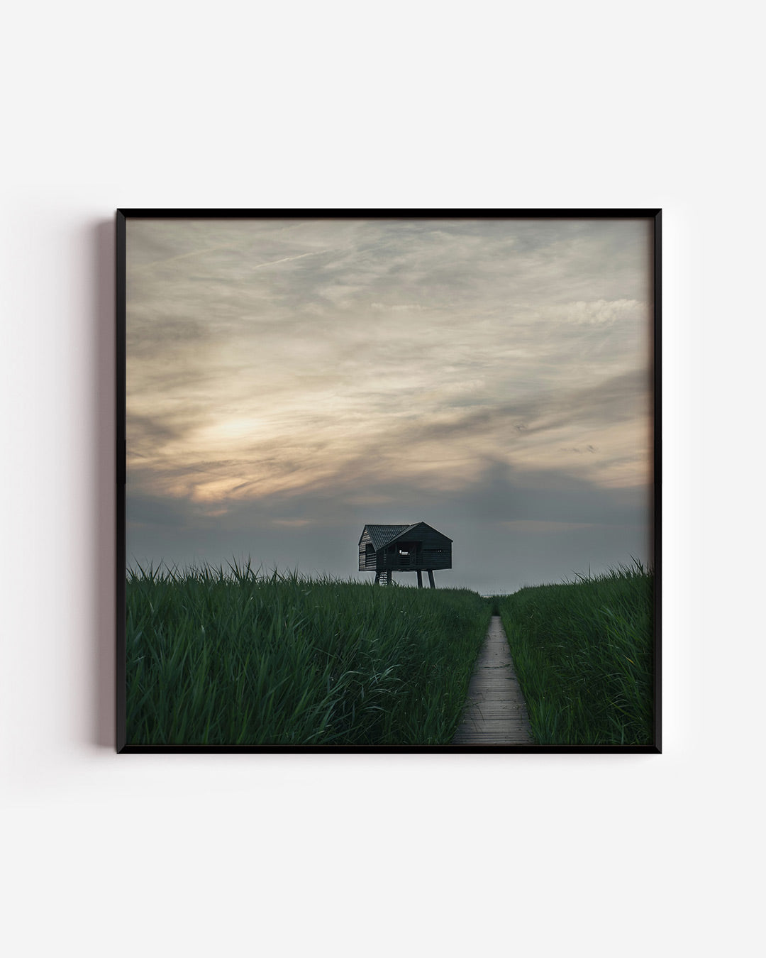 Rustieke houten hut poster – vierkante wanddecoratie – een houten hut op palen staat te midden van hoge groene grasvelden