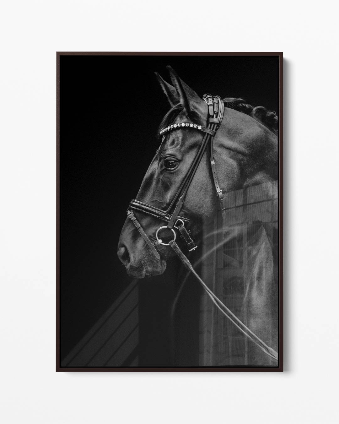 Elegante Paardenportret Fotografie – portret kunstwerk als wanddecoratie