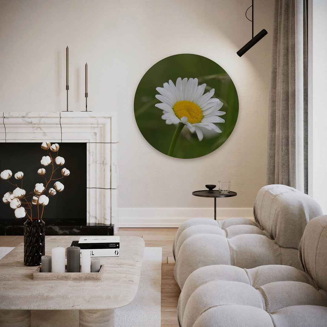Madeliefje – ronde fotografie wanddecoratie van WallArtistic